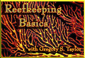 Reefkeeping Basics by Greg Taylor