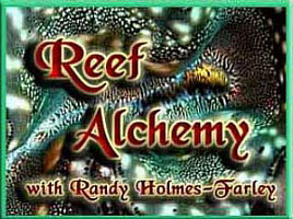 Reef Alchemy by Randy Holmes-Farley