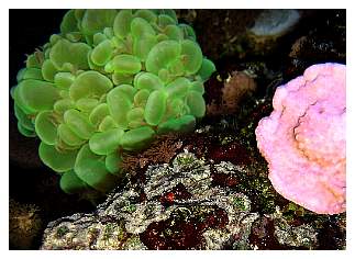 IMG_0457save.jpg