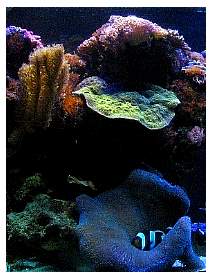 IMG_0940maybecut.jpg