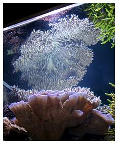 IMG_2303.jpg
