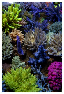 DSC_0026.jpg