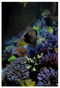 DSC_00d03.jpg