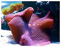 IMG_3096.jpg
