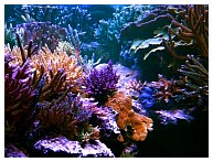 IMG_3139.jpg