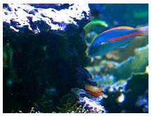 IMG_3270.jpg