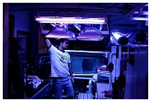 fishroom3Large.jpg