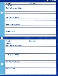 click here for full size picture
