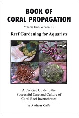 bookofpropagation.jpg