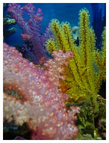 c728_15.jpg