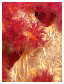 c728_23.jpg