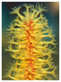 c728_29.jpg