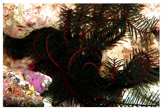 pic6.jpg