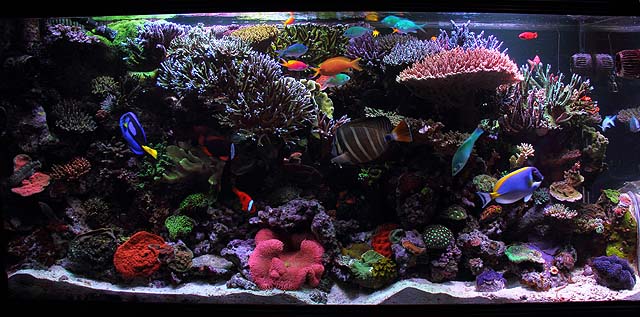 FTS