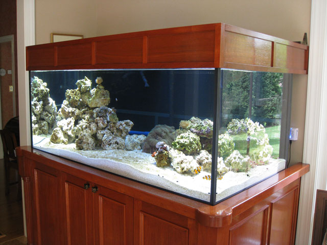 Reefkeeping Magazine - Building an Aquarium Stand