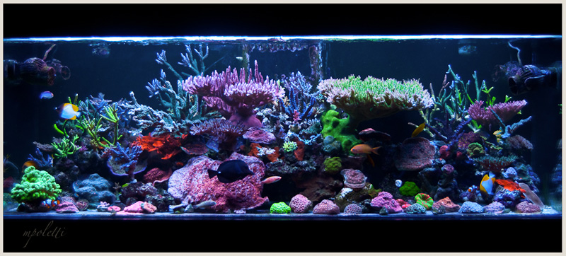 FTS