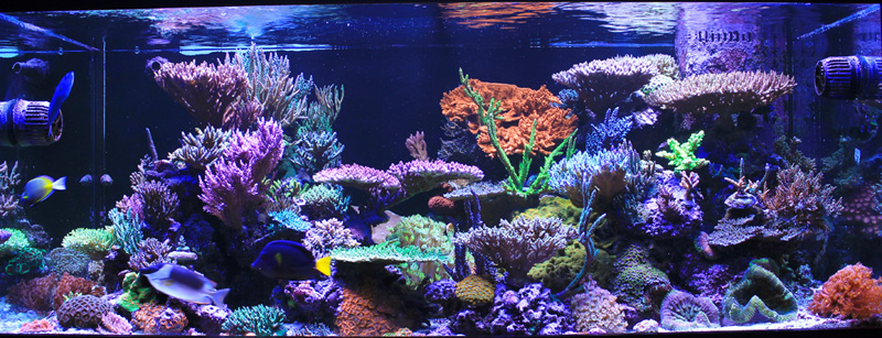 FTS