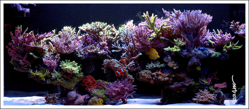 FTS