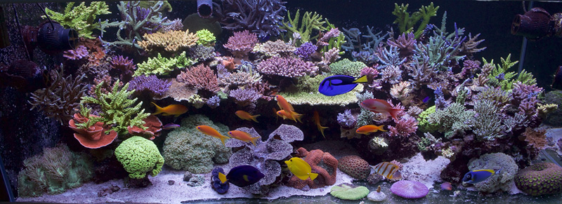 FTS