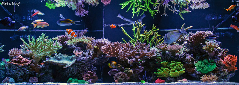 fts
