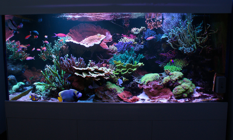 FTS