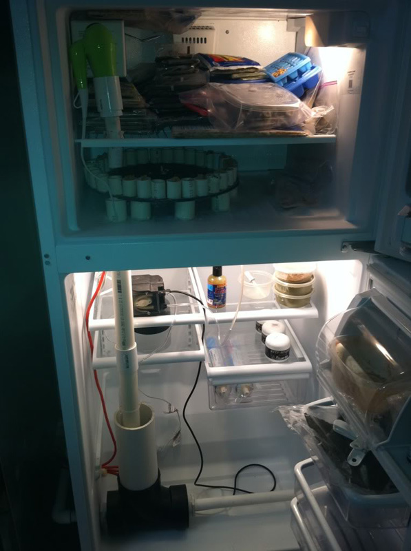 Fridge