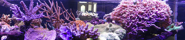 DSC00199