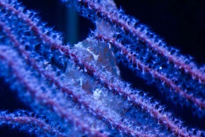 _MG_1355